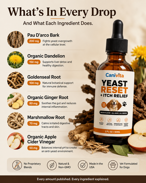 Canivita Yeast Reset + Itch Relief Drops