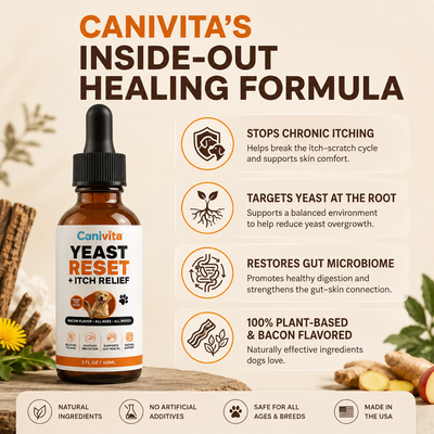Canivita Yeast Reset + Itch Relief Drops