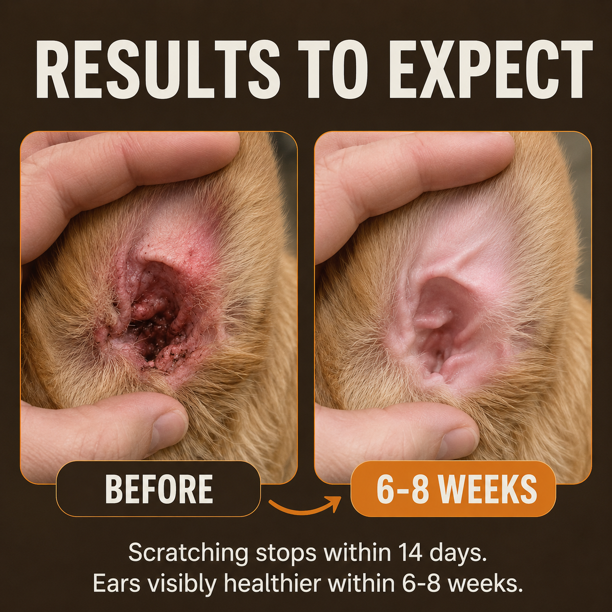 Canivita Yeast Reset + Itch Relief Drops